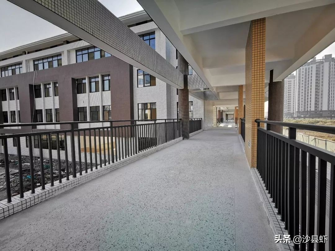 有序推进！沙县虾关心的32项为民办实事项目有了新进展