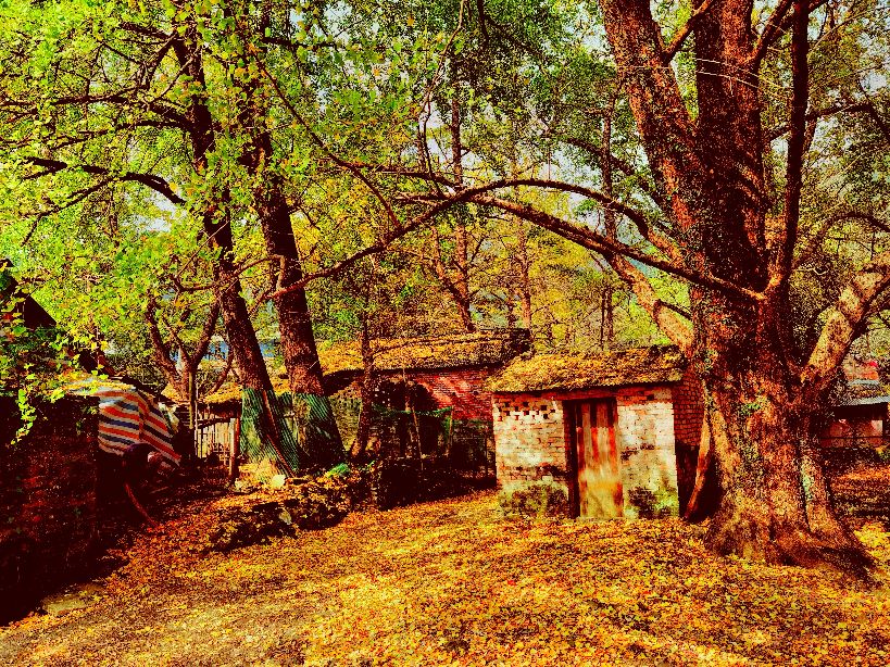 秋天的回忆完整版,秋天的回忆歌曲