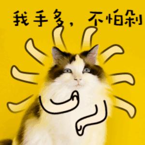 蔻驰迪士尼联名值得买吗,蔻驰迪士尼联名卫衣