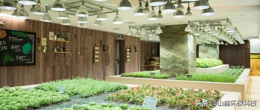 最暴利的5个冷门创业小生意,现在低成本创业最好的是什么行业