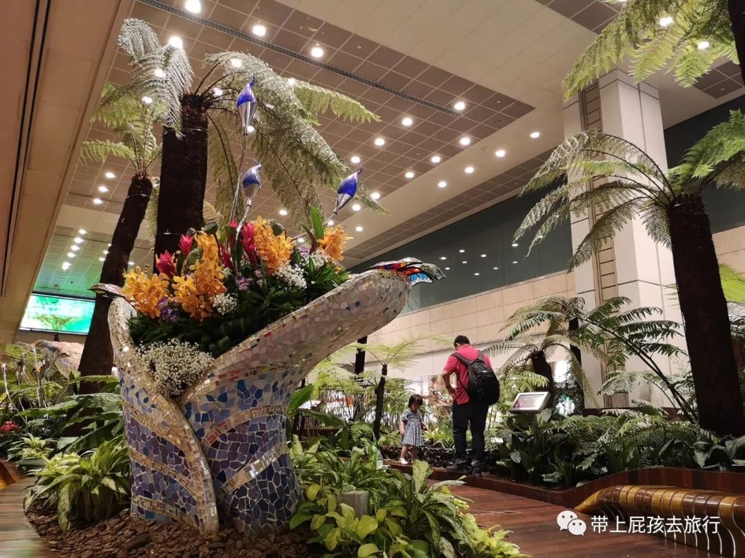 无旅行不暑假亲子游胜地新加坡,新加坡马来西亚亲子游春节