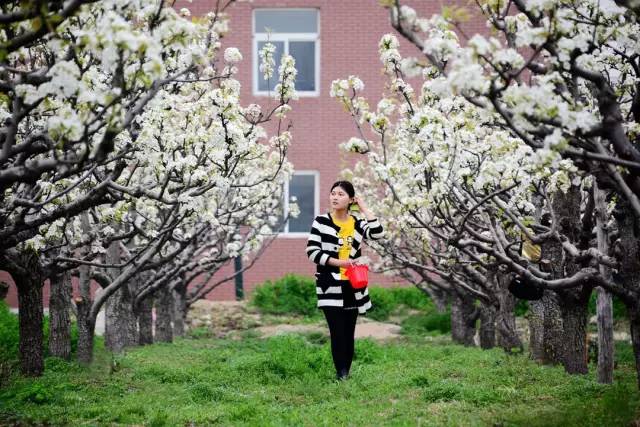 颜值爆城！云龙湖边的这所高校，今年要提前招你...