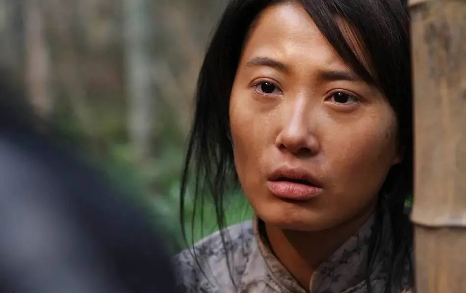 50部抗日特战片亮剑雪豹,十部必看抗日电视剧雪豹