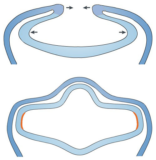复杂的眼睛是反对进化论的证据？其实它恰好反映了进化的粗糙