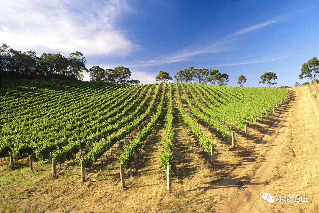 把红酒带回中国,把红酒进口到国内