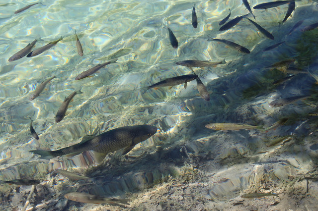 儿时记忆终生难忘,值得回味儿时的记忆