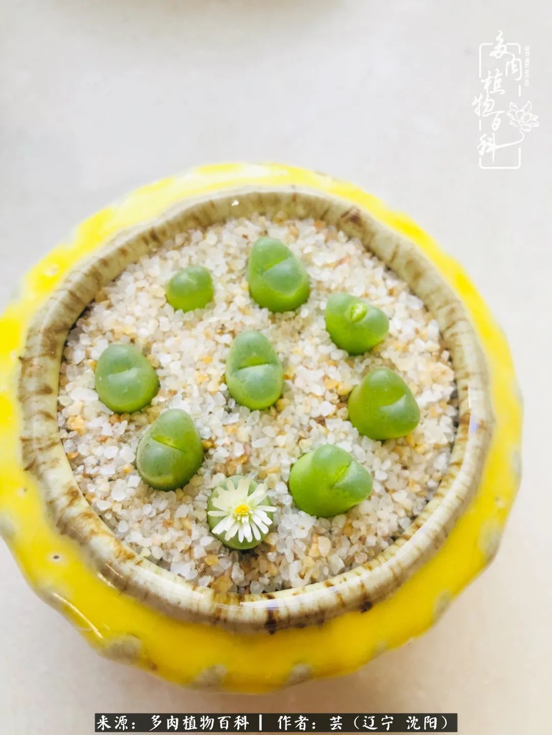 万物皆有灵性有因必有果,万物皆有灵性与生命