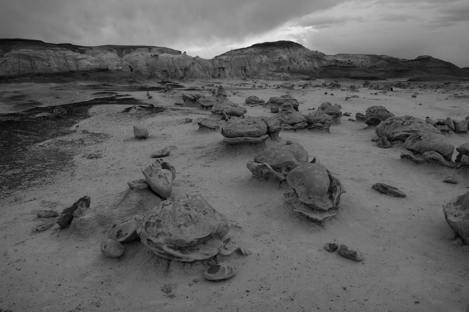 2022年最佳入门微单排名,入门单反相机品牌排行榜前十名