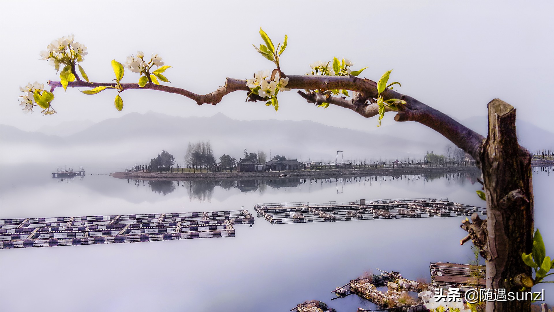 丹东宽甸桃花旅游攻略,丹东宽甸桃花岛旅游攻略自驾