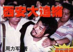 纪实文学追捕贼王,西安大追捕纪实