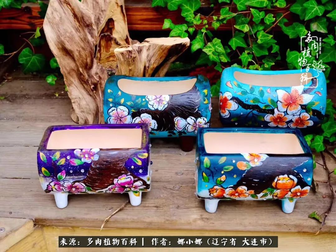 你是盆我是花，你护我周全，我为你绽放