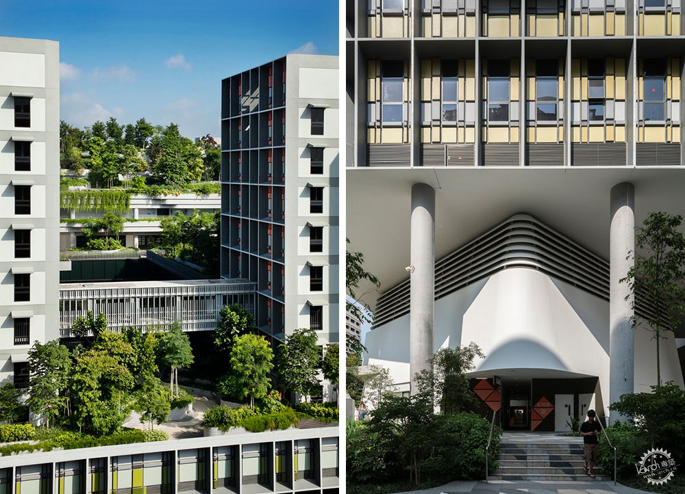 漫步绿树成荫的街道,绿树成荫环境怡人小区