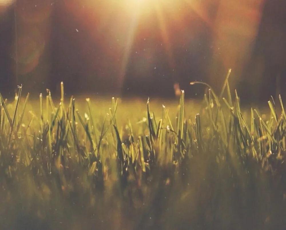 给虚伪的朋友的说说,真心朋友和虚伪朋友的句子说说