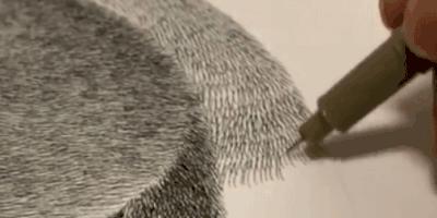 她用2元针管笔作画便惊艳了世界,他用粉笔画了一只猫