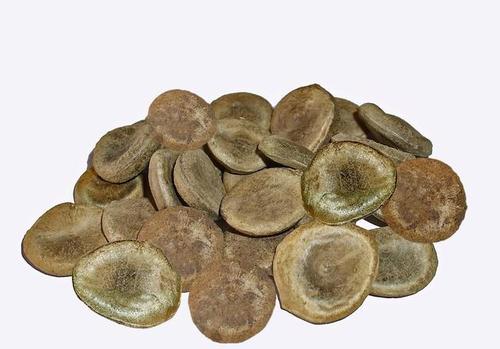 痛风缓解期降尿酸中药处方,痛风发作时吃降尿酸中药有用吗