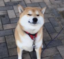 淘宝佛系卖家是真的吗,什么是佛系淘宝