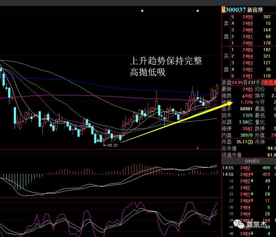 最基本的炒股知识,炒股新手入门知识