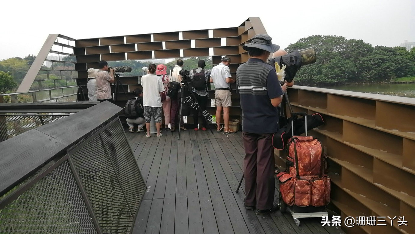 广州湿地公园推荐,广州龙潭河湿地公园