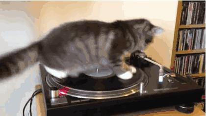 现在的数码时代,数码时代的缺点