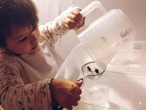 7-12月宝宝蒙氏亲子游戏,100个经典蒙氏小游戏总结