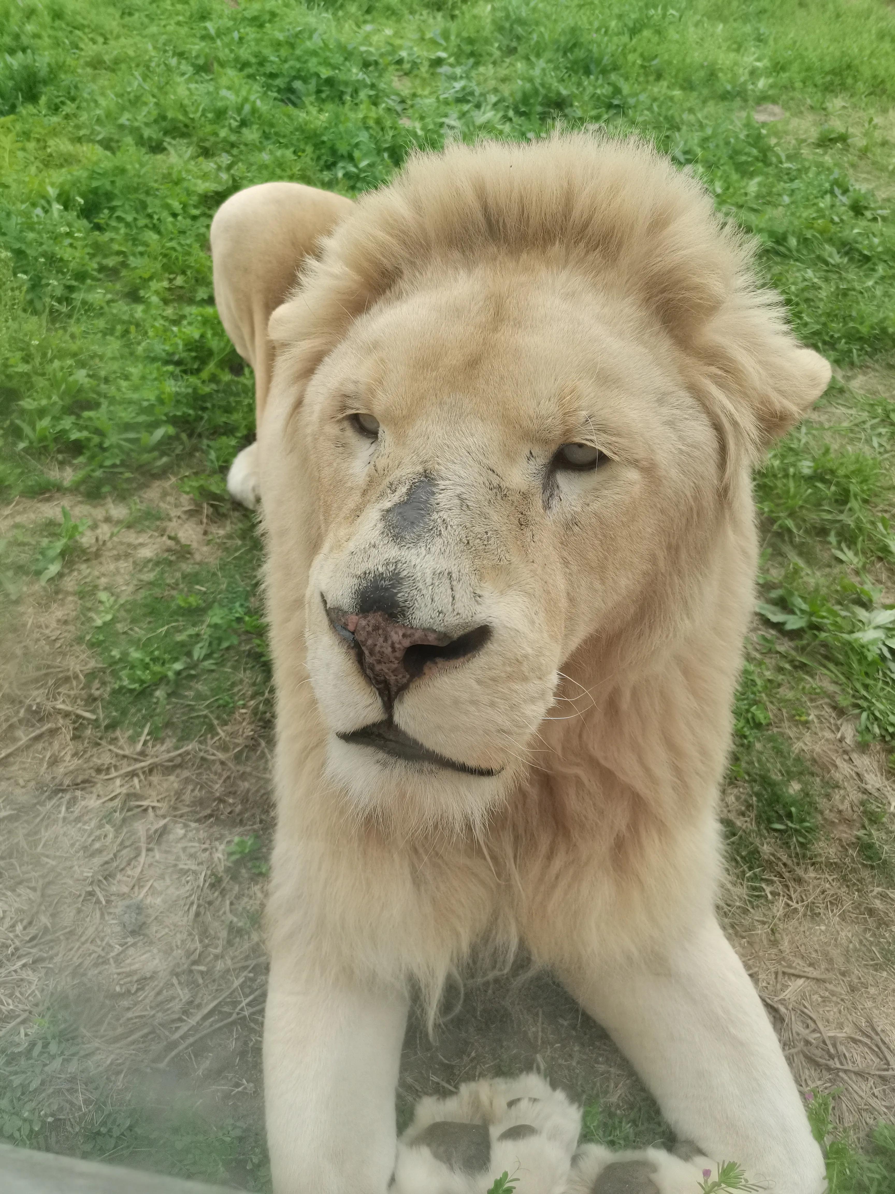 济南野生动物园和宿州野生动物园,宿州野生动物园到宿州皇藏峪