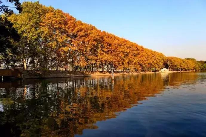 身份证410、411、412开头的，去了郑州就等于去了全世界