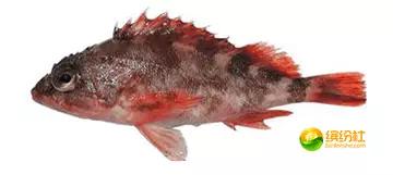 舟山海鲜攻略2天3晚吃什么,舟山海鲜代加工攻略