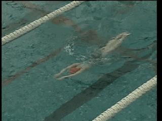 蛙泳腿部翻脚错误纠正,蛙泳在水中腿部翻脚忘记了怎么办