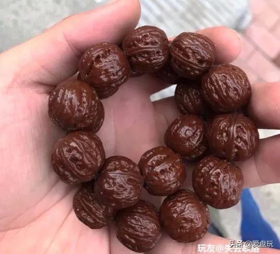 放了2年的凤眼,翻出来,虫子能组一个篮球队了