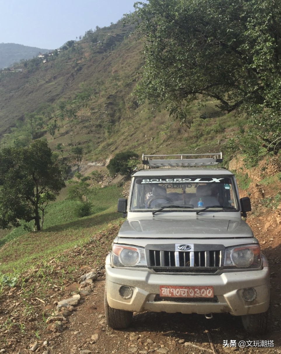 凤眼菩提为什么有的小尺寸就便宜,凤眼菩提怎么看品相