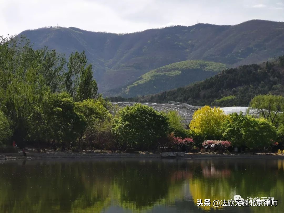 员工放弃社保将向单位追责,员工放弃社保还可以被迫离职吗