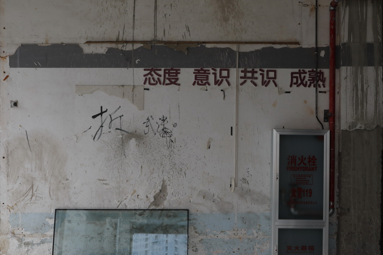 武汉市新开发的工业园区,武汉大智无界空中小镇多少钱