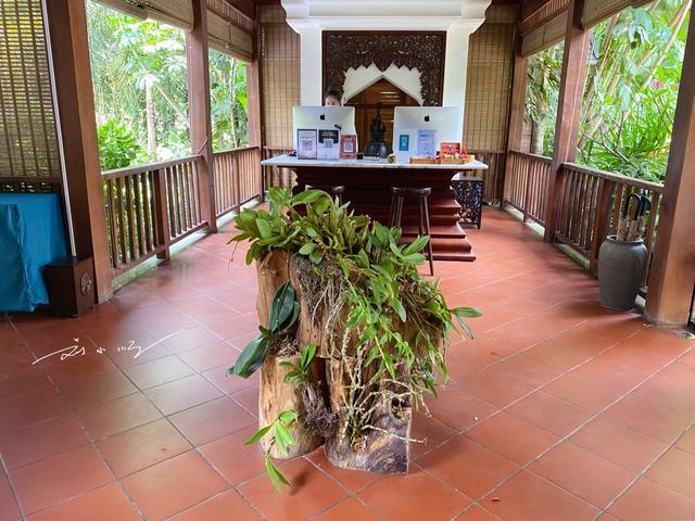 有没有必要去西双版纳旅游,现在可不可以去西双版纳旅游