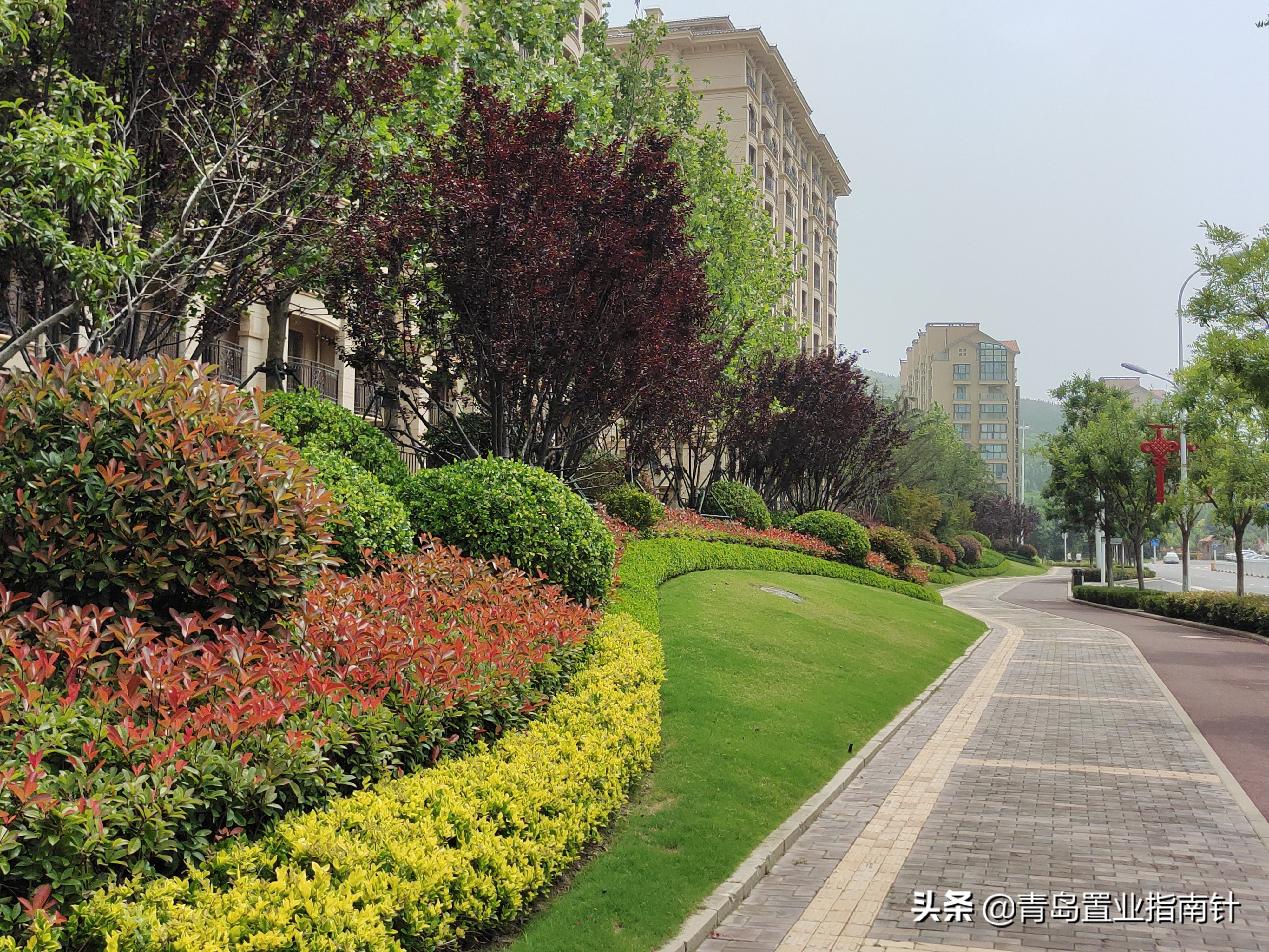 未来青岛蓝谷的发展,青岛蓝谷西海岸哪里房价高
