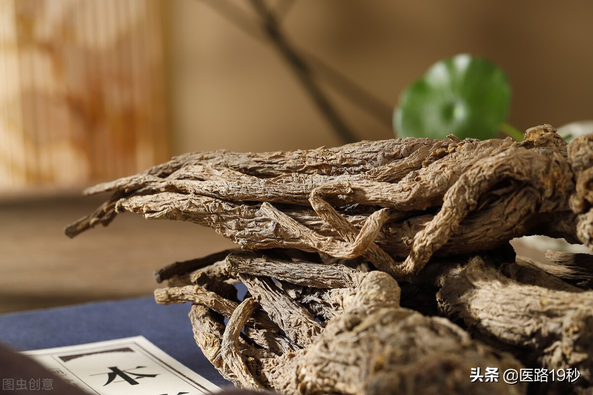 补肾效果最好的中药有哪几种,真正能补肾的中药有哪些