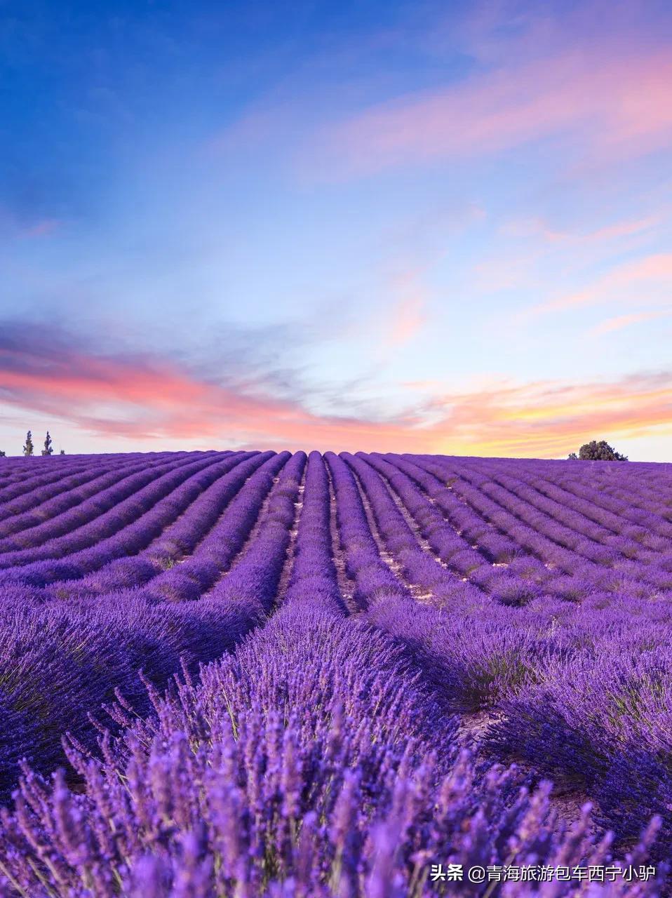 欣赏世界上最美的80个地方,世界上10大最美的地方此生必去