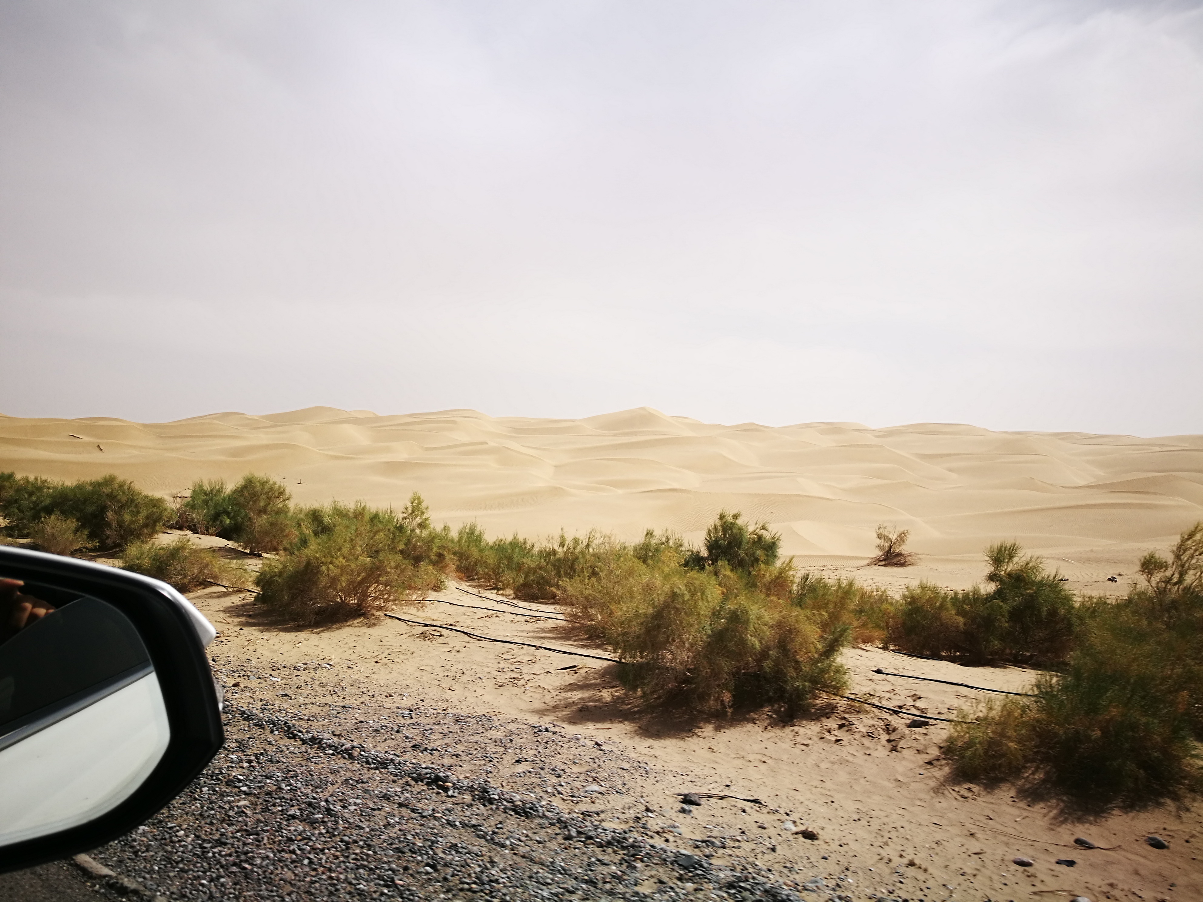 13000公里新手独驾*疆新**第23天——穿越塔克拉玛干沙漠，遭遇陷车