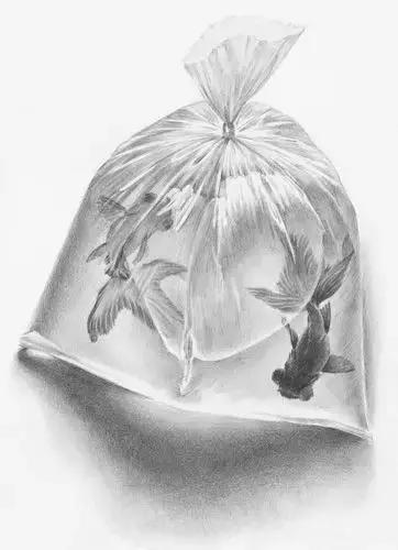 素描基础薄弱,素描基础绘画超难