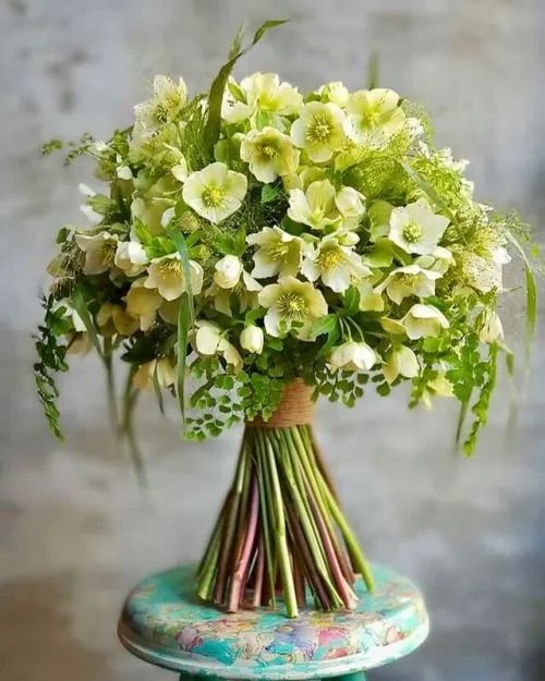 带你了解世界每一个角落,八大花艺流派