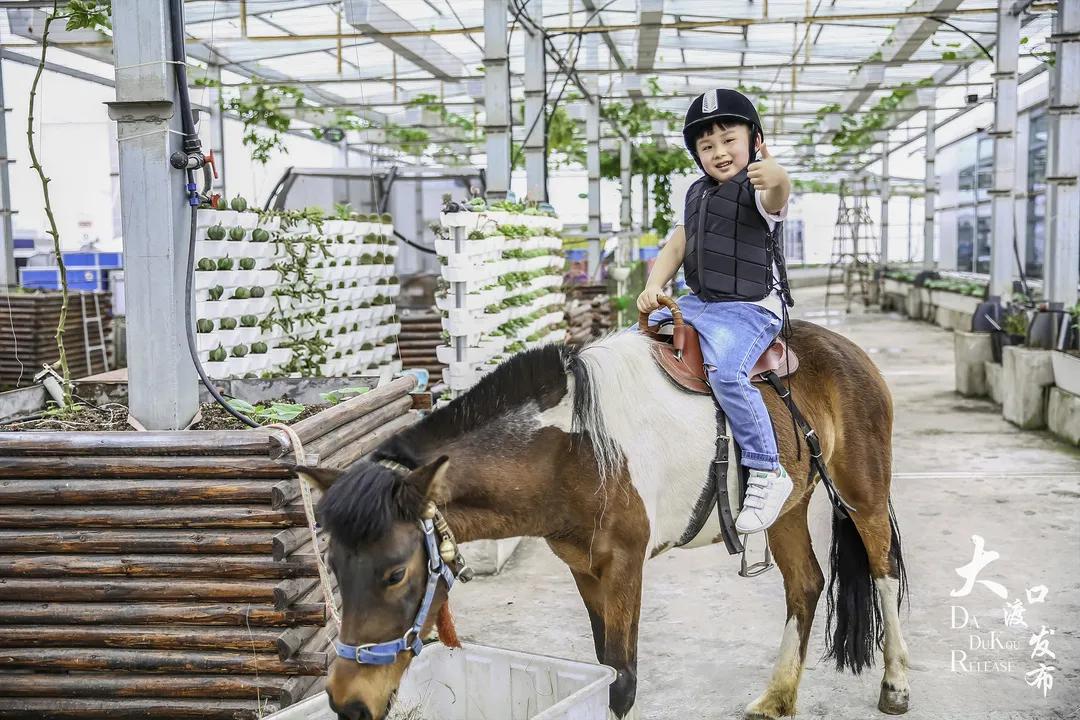 大渡口太空梦幻农场,大渡口万达广场太空梦幻农场