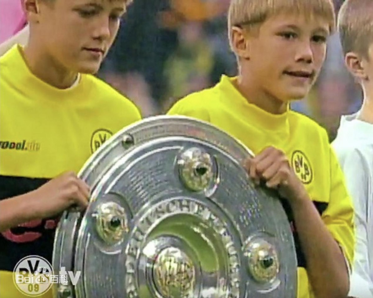 罗伊斯几次无缘世界杯,罗伊斯缺席世界杯