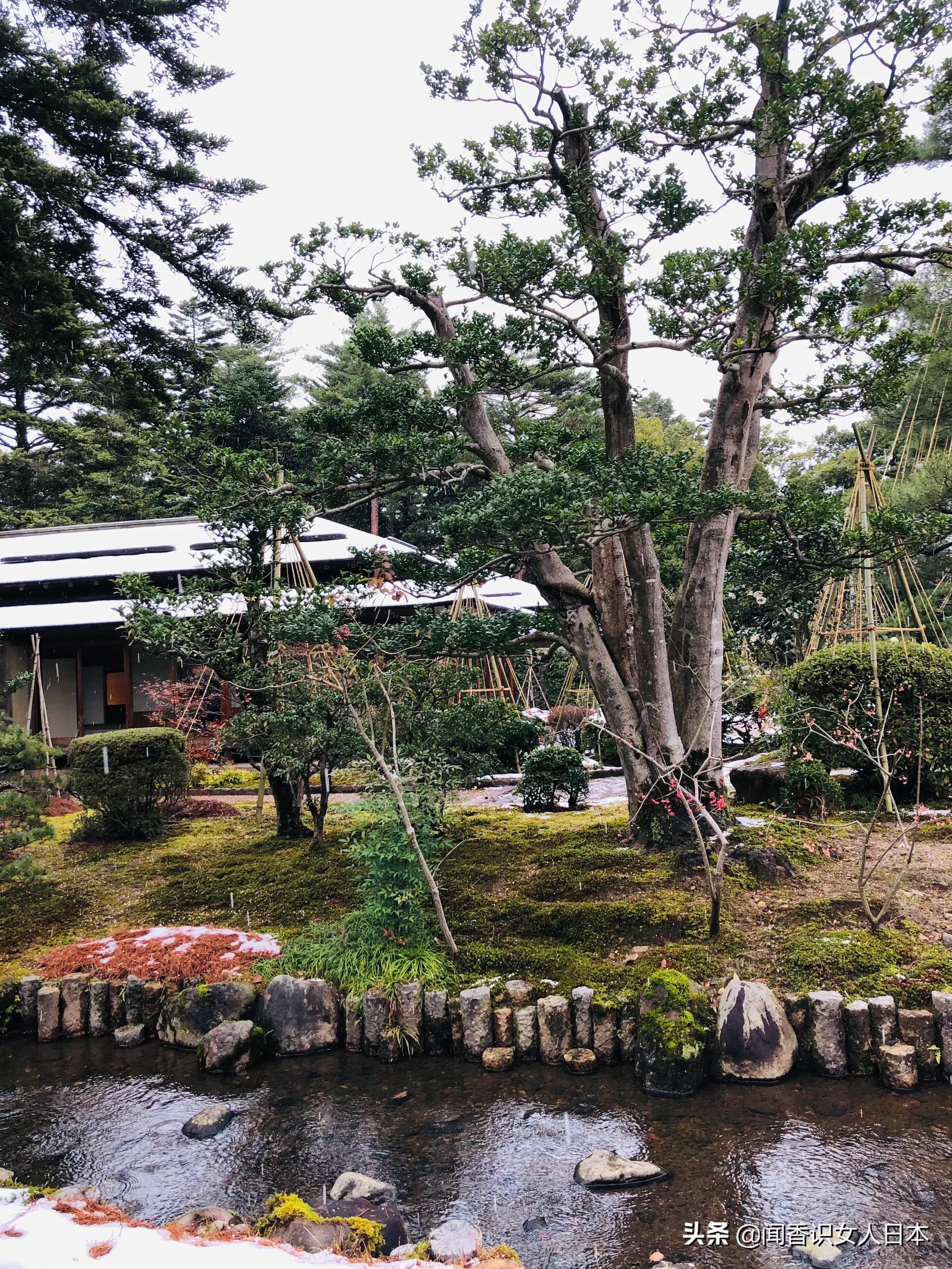 日本三大园林,日本三大名园之一