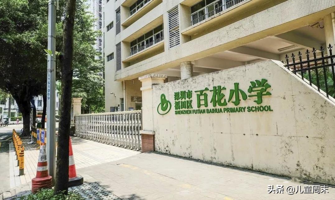 深圳十大顶级小学,深圳10大顶级小学