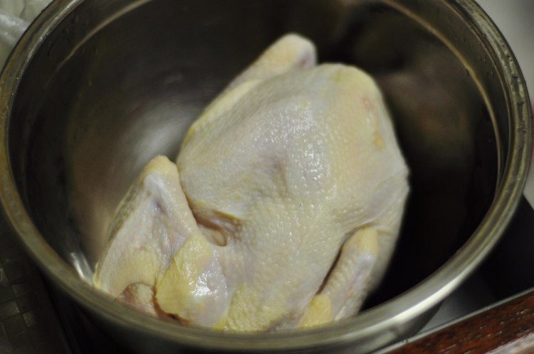 q叔的作品,q叔视频