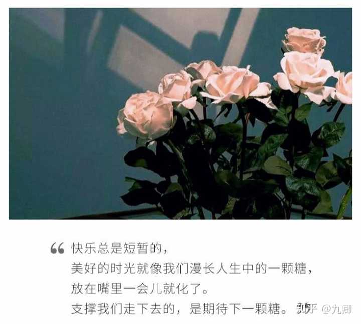 小说暗恋文案,暗恋她的文案