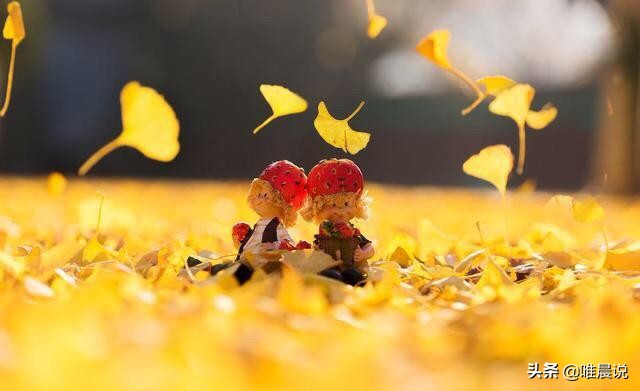 第一印象很重要内在更重要,第一印象很重要原版