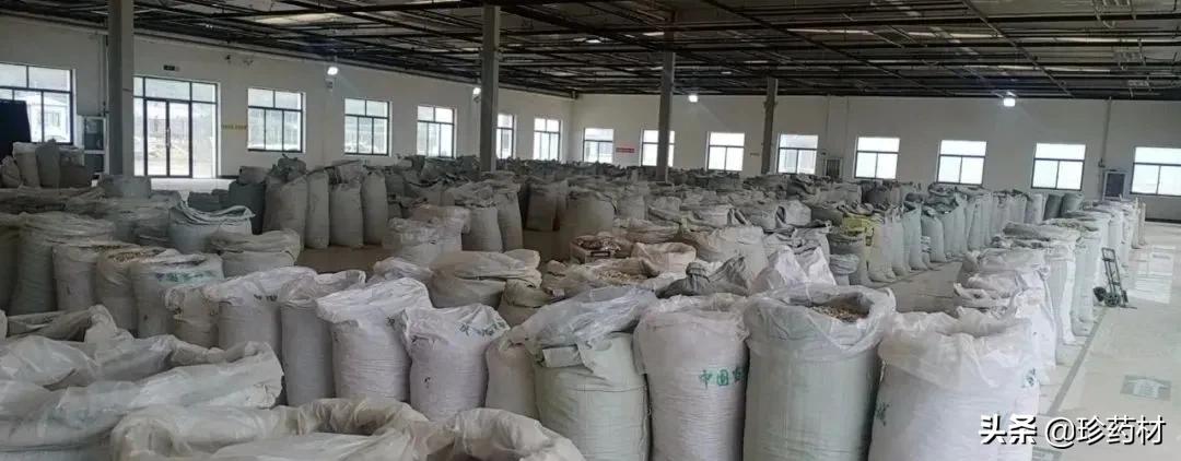 药材产地行情日报,2020年7月药材市场药材价格快讯