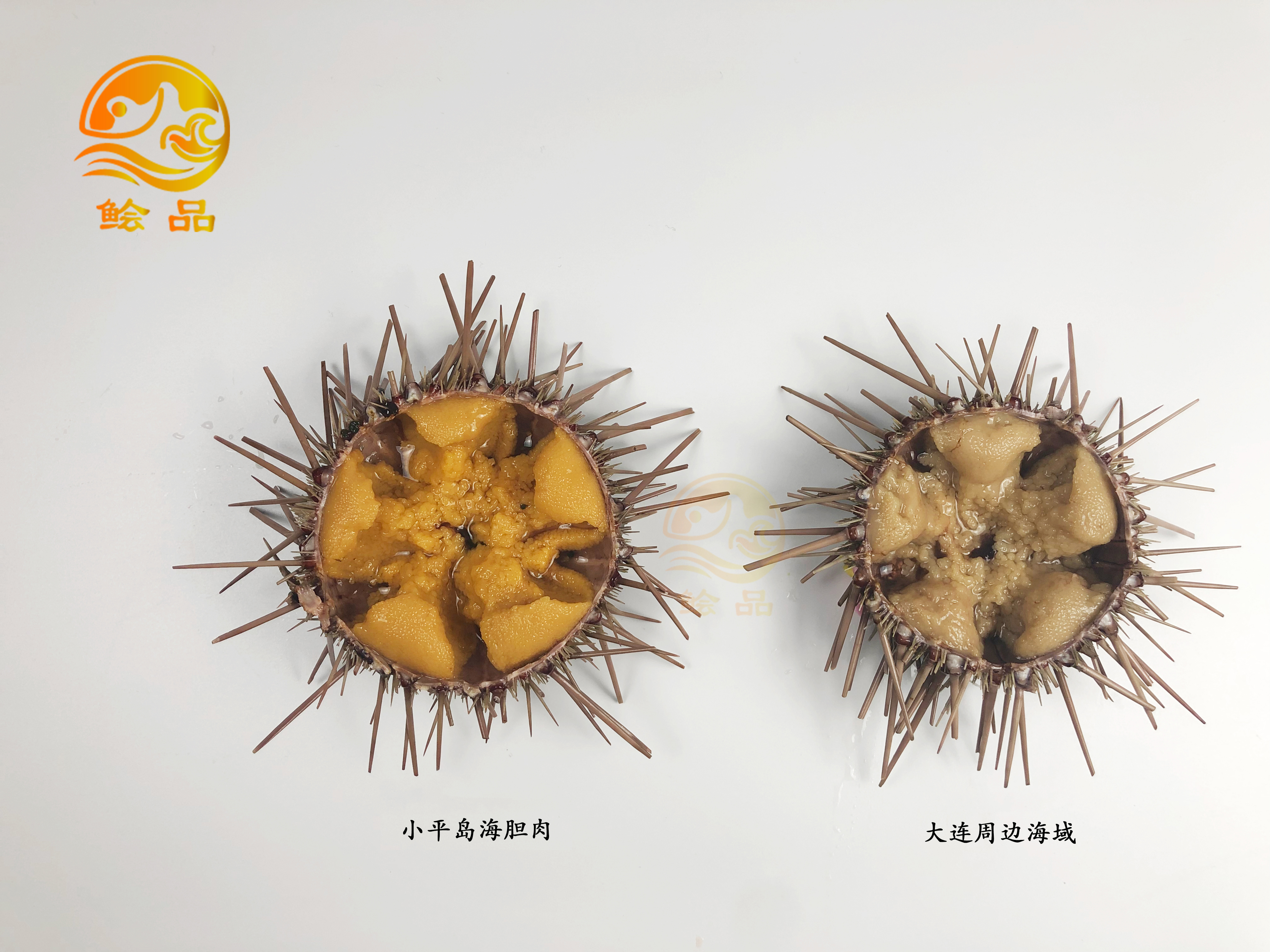 閲嶅ぇ鎻,鐧借壊娴疯儐鑲夎兘鍚冨悧