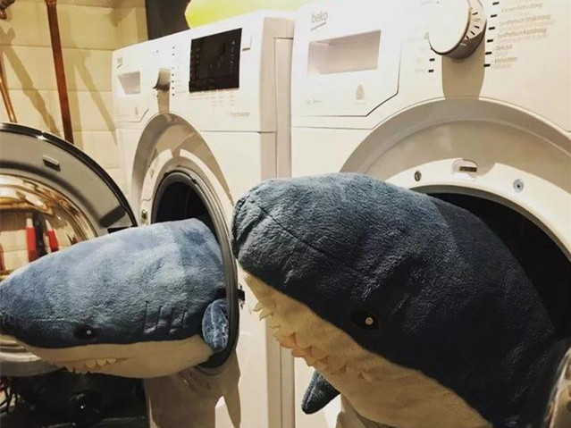 这个来自英国的洗衣机品牌，让火遍俄罗斯的宜家鲨鱼“爱上洗澡”