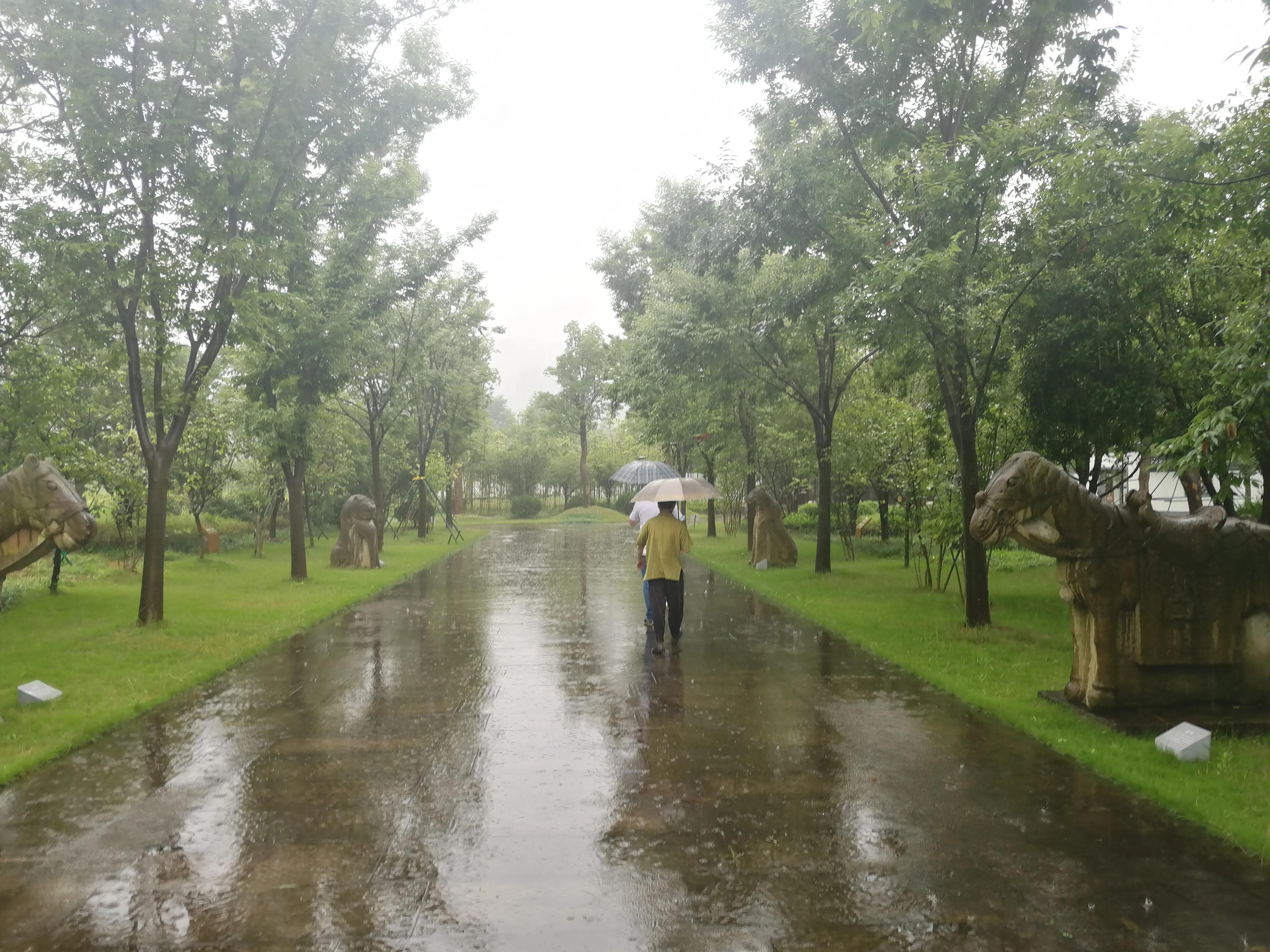 卧庐诗话@有趣的性灵总要相遇